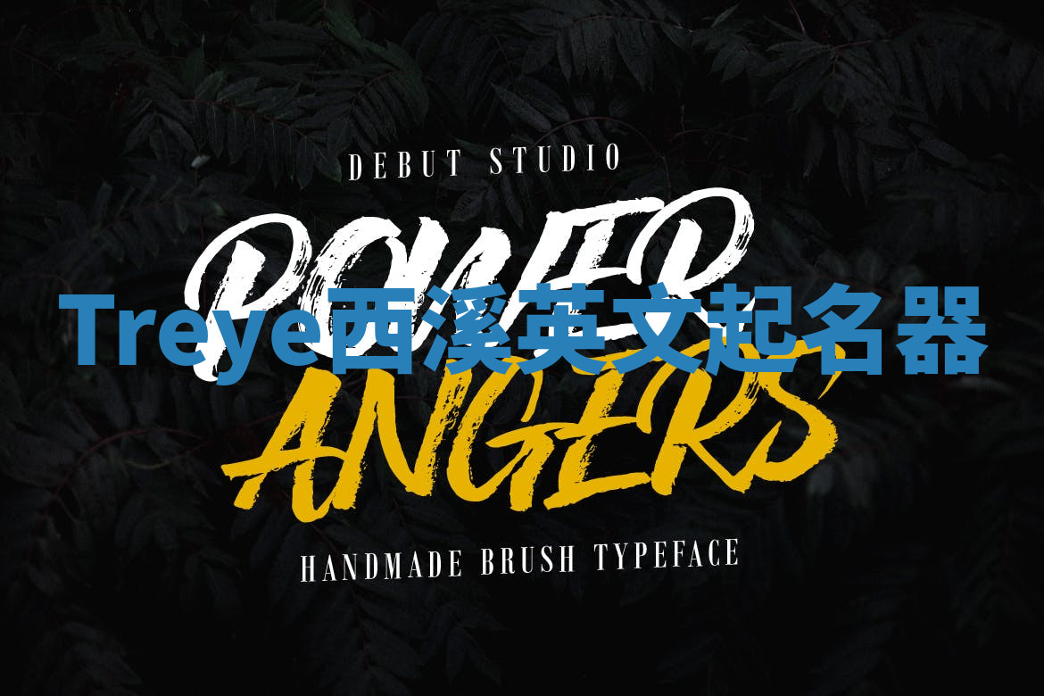 Treye西溪英文起名器