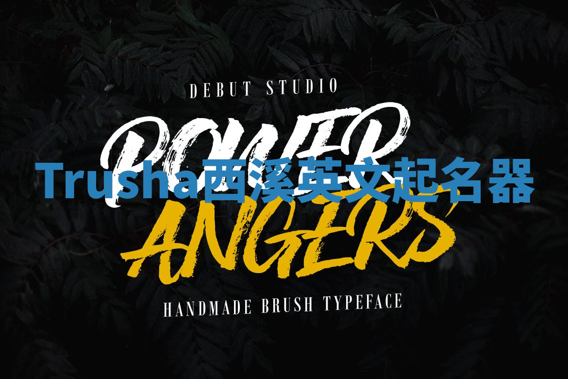 Trusha西溪英文起名器 Trusha西溪英文起名器