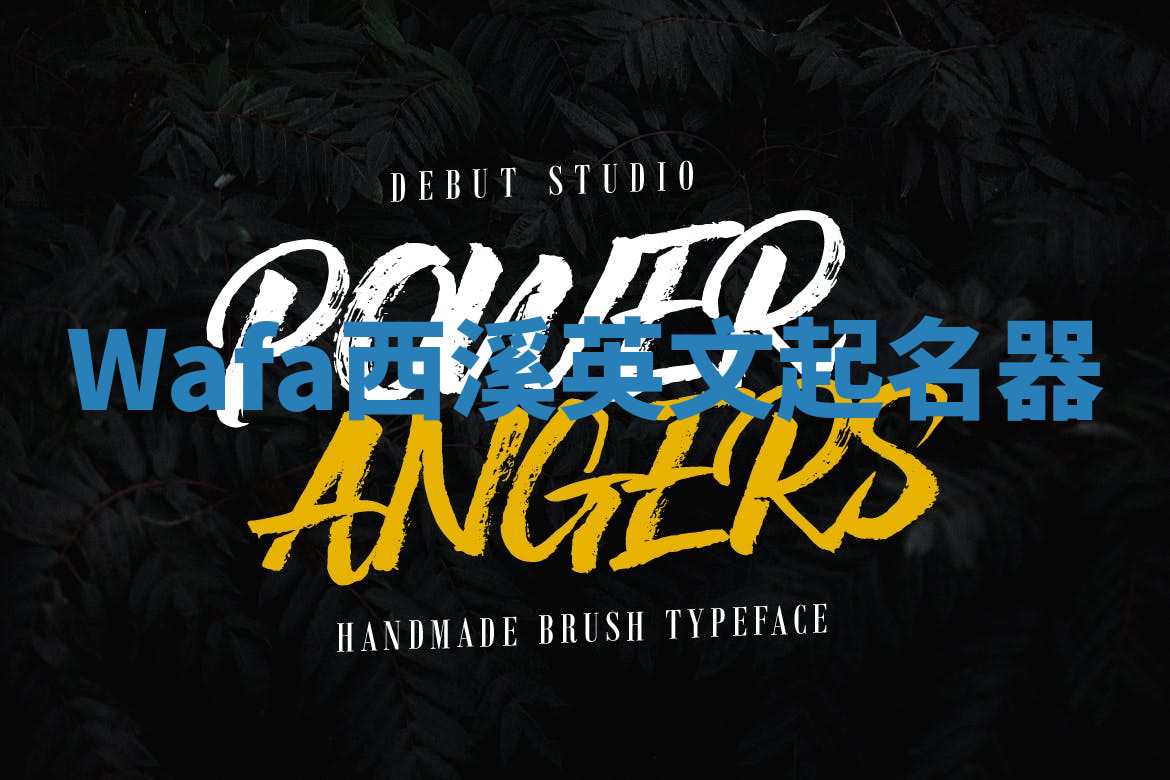 Wafa西溪英文起名器 Wafa西溪英文起名器