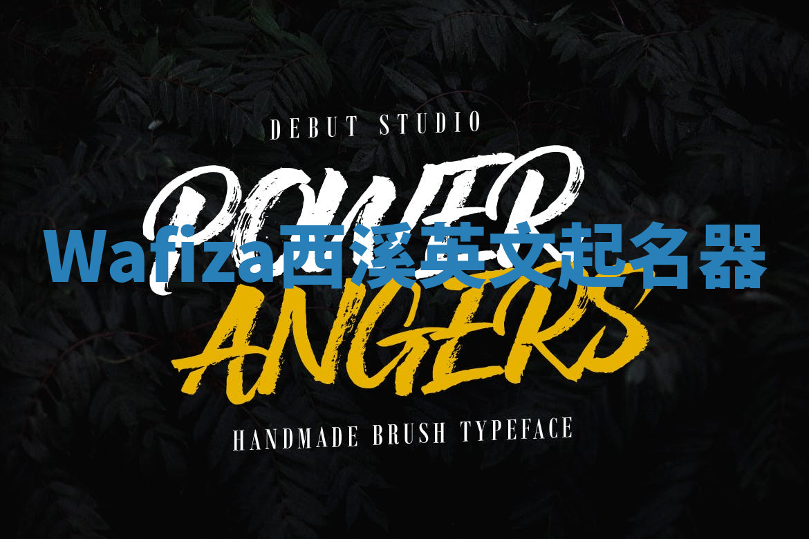 Wafiza西溪英文起名器 Wafiza西溪英文起名器