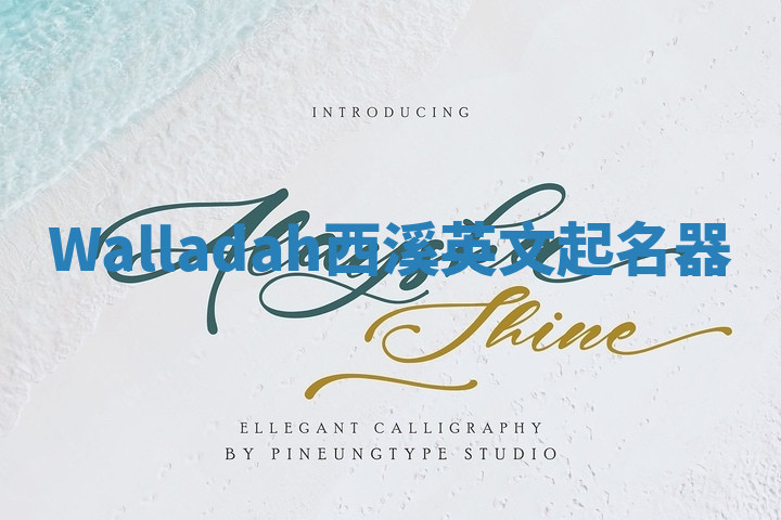 Walladah西溪英文起名器