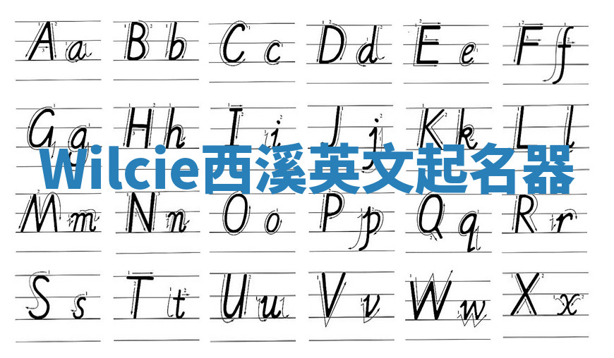Wilcie西溪英文起名器