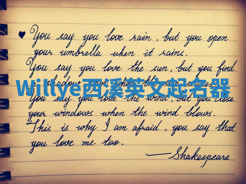 Willye西溪英文起名器