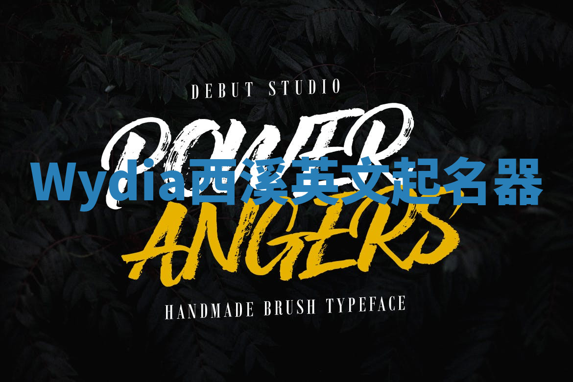 Wydia西溪英文起名器