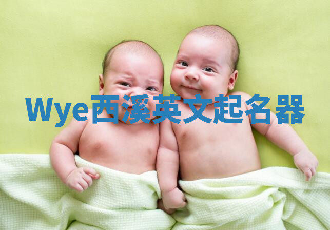 Wye西溪英文起名器