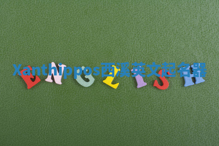 Xanthippos西溪英文起名器 Xanthippos西溪英文起名器