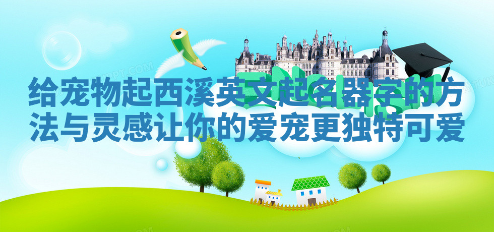 给宠物起西溪英文起名器字的方法与灵感让你的爱宠更独特可爱 给宠物起西溪英文起名器字的方法与灵感让你的爱宠更独特可爱