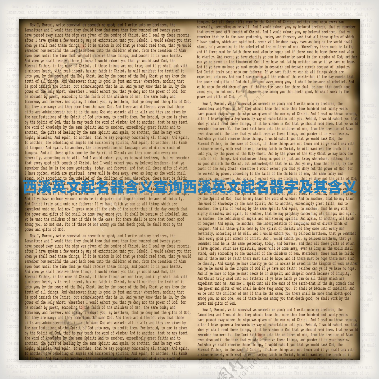 西溪英文起名器含义查询 西溪英文起名器字及其含义